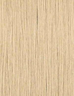 Dashly Lace Front Wig Lace Unit 49