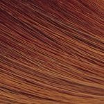 Exotic Shine Color Kit