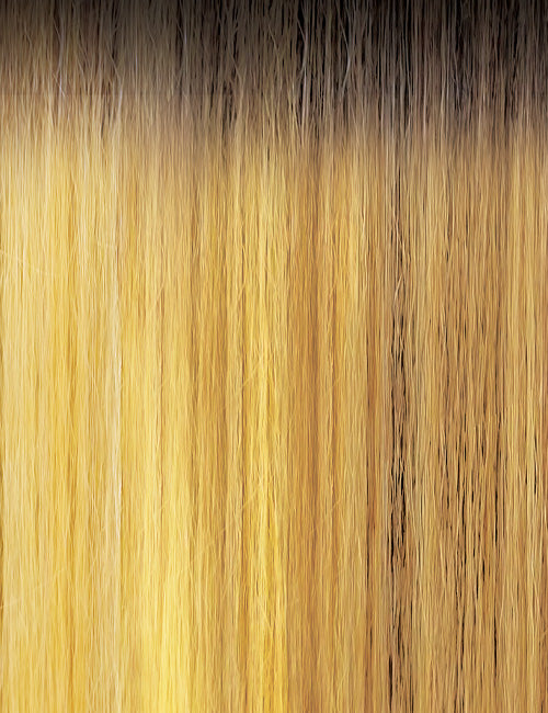 Lace Front Synthetic Wig Solana