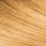 Exotic Shine Color Kit