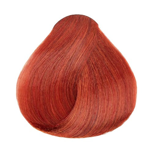 L'ORÉAL HiColor Permanent Color 1.74oz