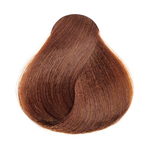 L'ORÉAL HiColor Permanent Color 1.74oz