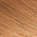 Exotic Shine Color Kit