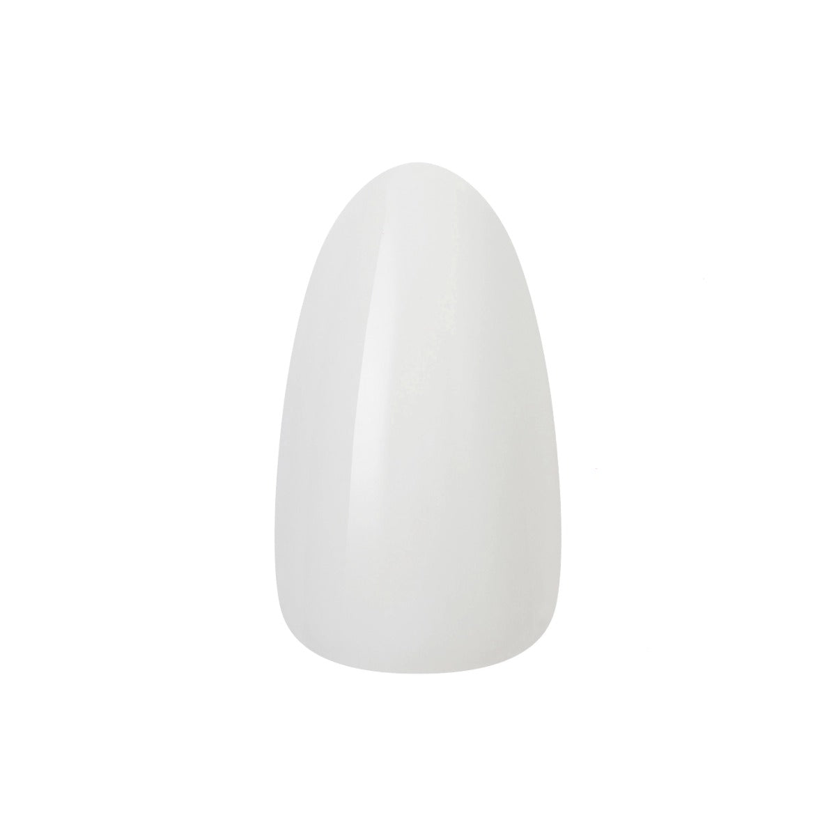 KISS Core Color Ongles En Acrylique  [Lookbook] #CC04Y0