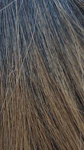 Perruque synthétique complète de qualité supérieure - MORISSA