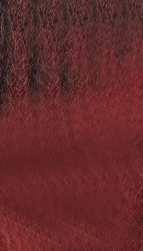 Tresse bouclée française 10X 24"