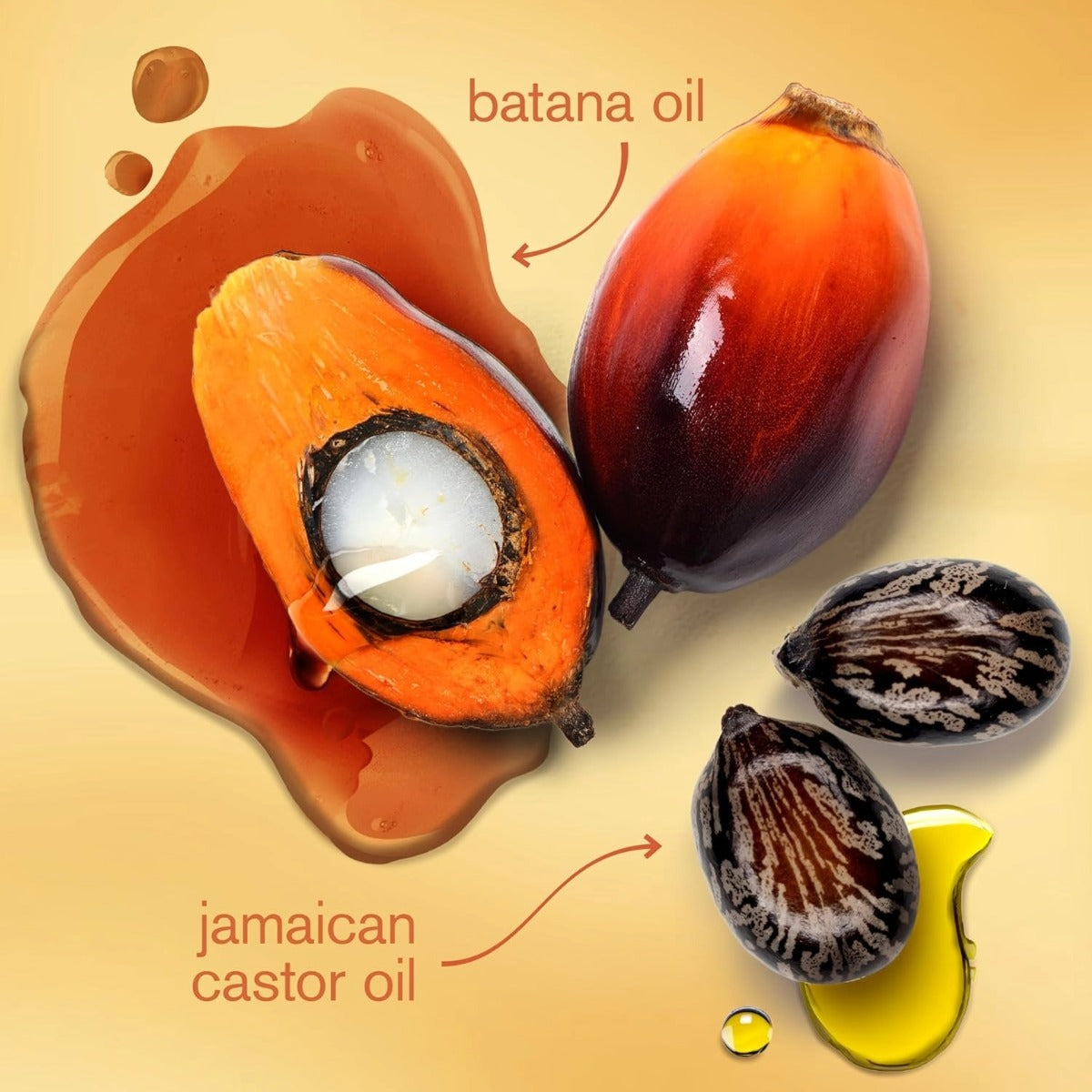 cantu Crème pour boucles à l'huile de batana 10oz
