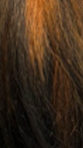 HD lace wig with natural hairline dark brown wig with auburn highlights close up texture