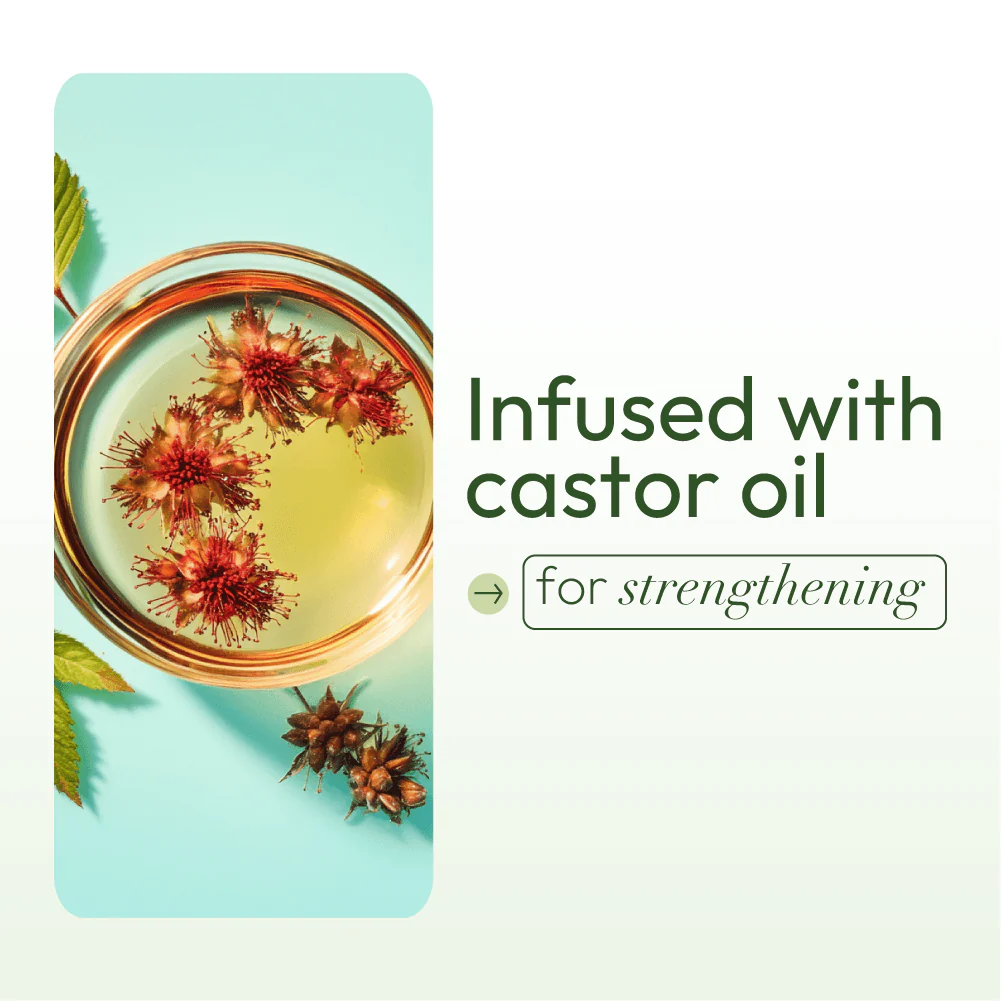 Lotion capillaire hydratante à l'huile d'olive