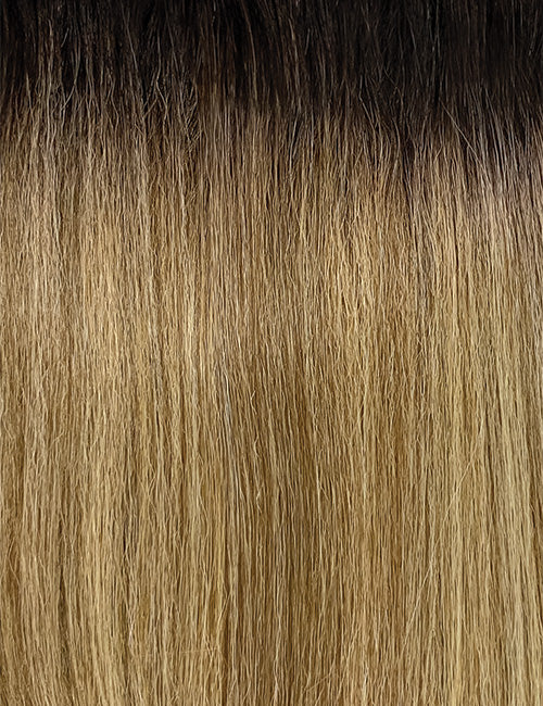 OUTRE 13x6 lace frontal wig synthetic straight ombre with dark roots to honey blonde silky texture