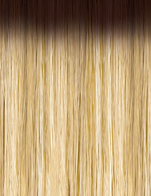 OUTRE 13x6 lace frontal wig synthetic honey blonde with dark roots straight long seamless hair