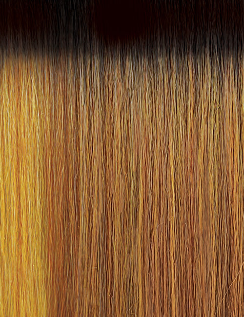 OUTRE 13x6 lace frontal wig synthetic straight ombre brown to honey blonde with dark roots close up