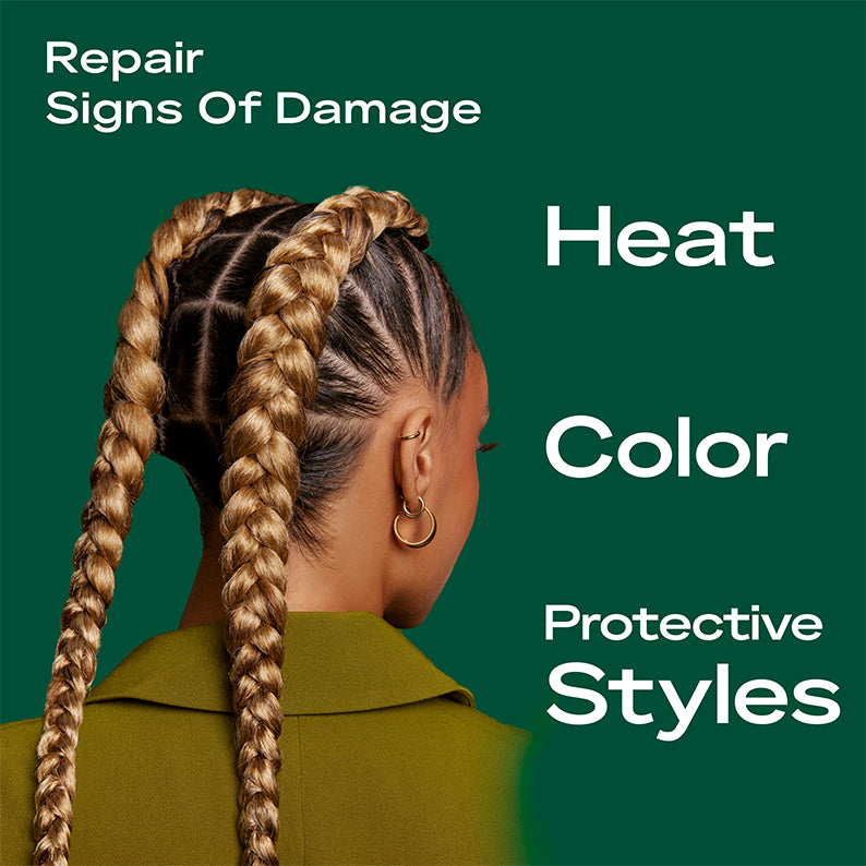 Shea Moisture amla oil bond repair masque image showing back of head with two long braids on green background